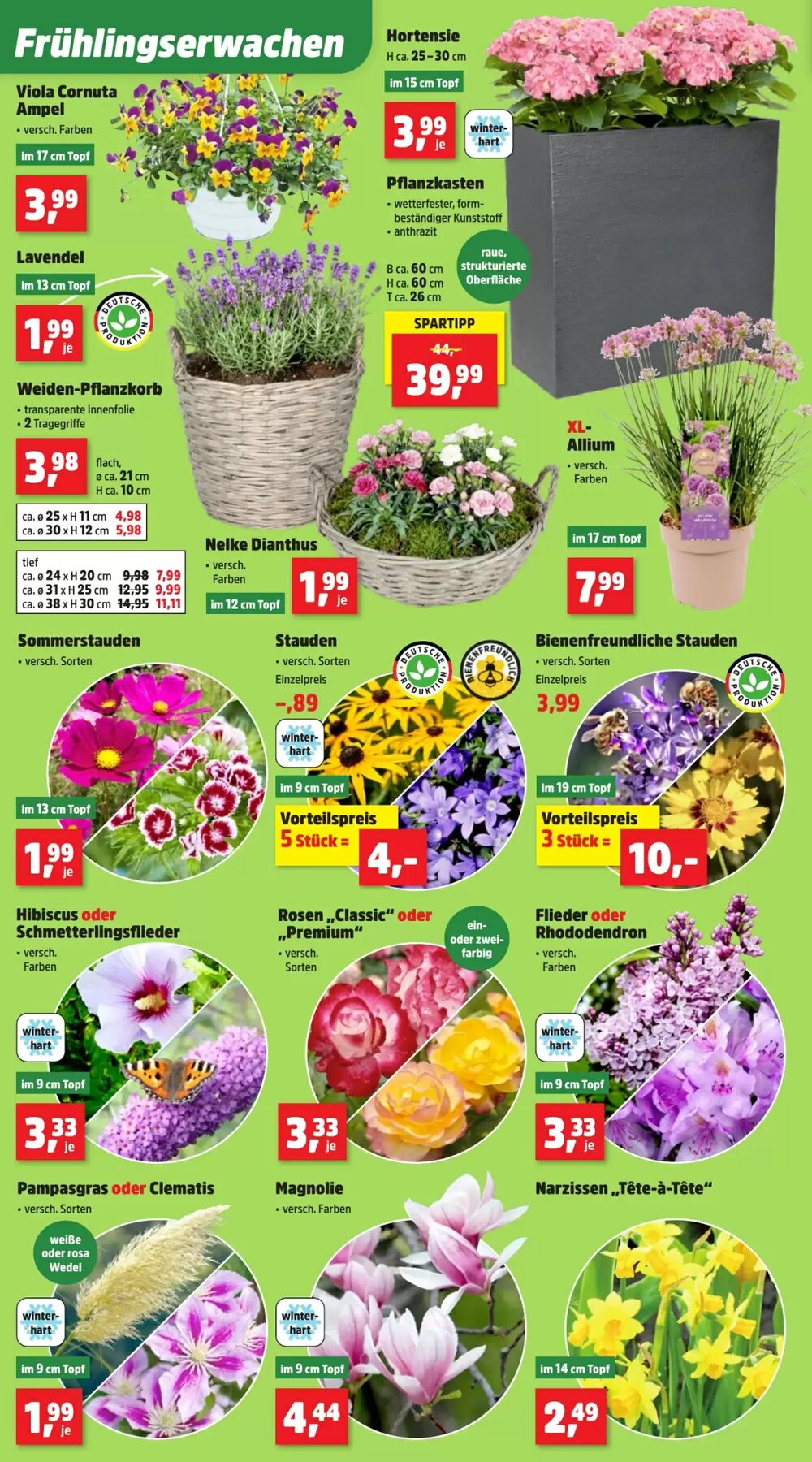 Thomas Philipps Prospekt (ab 23.03.2026) zum Blättern - Seite 4