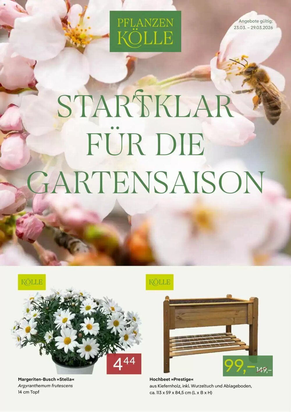 Pflanzen Kölle Prospekt (ab 23.03.2026) zum Blättern - Seite 1