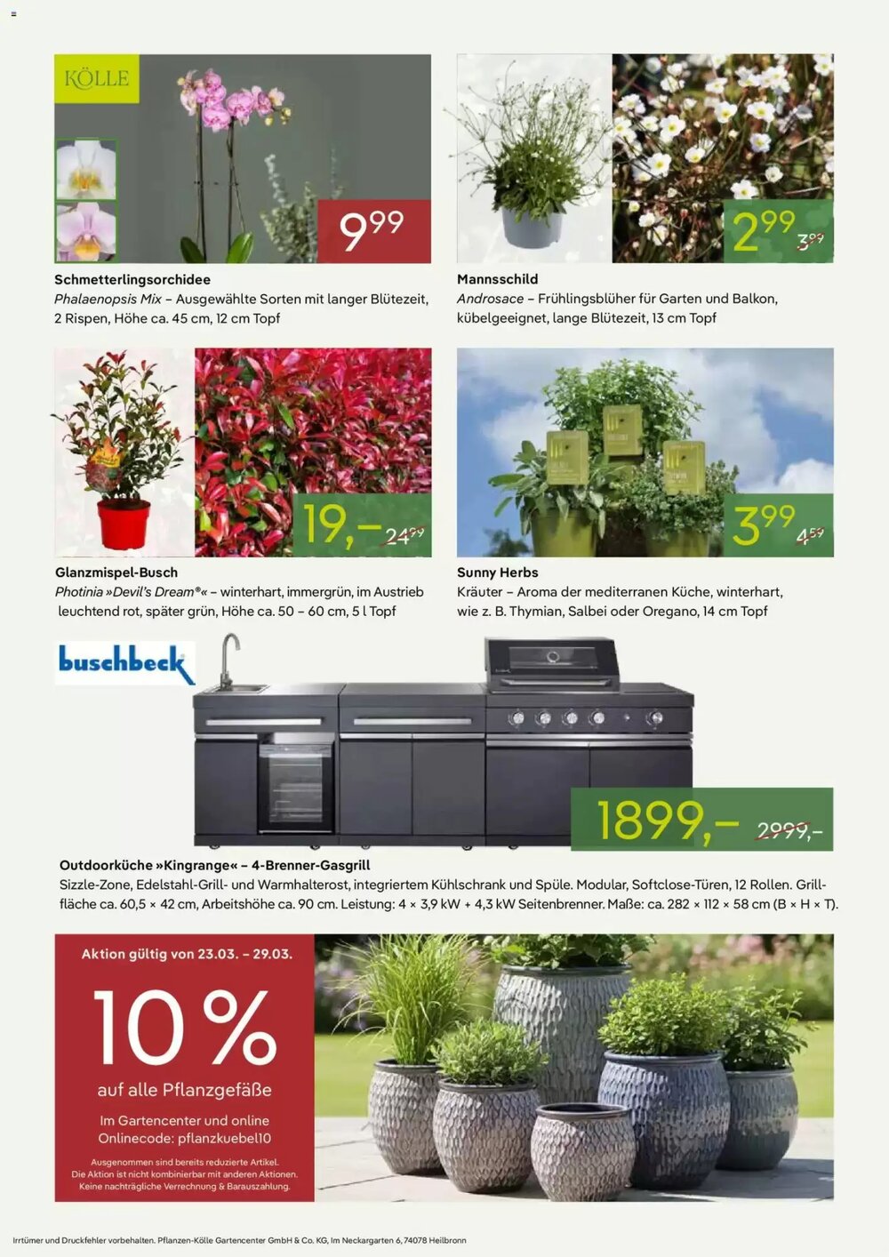 Pflanzen Kölle Prospekt (ab 23.03.2026) zum Blättern - Seite 2