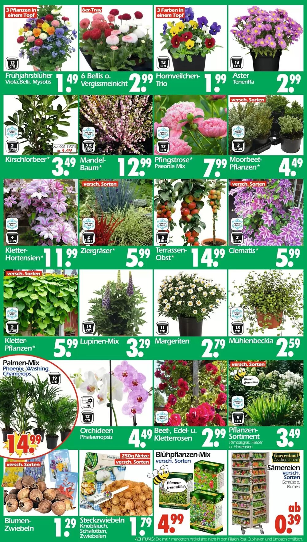 Wreesmann Prospekt (ab 23.03.2026) zum Blättern - Seite 3