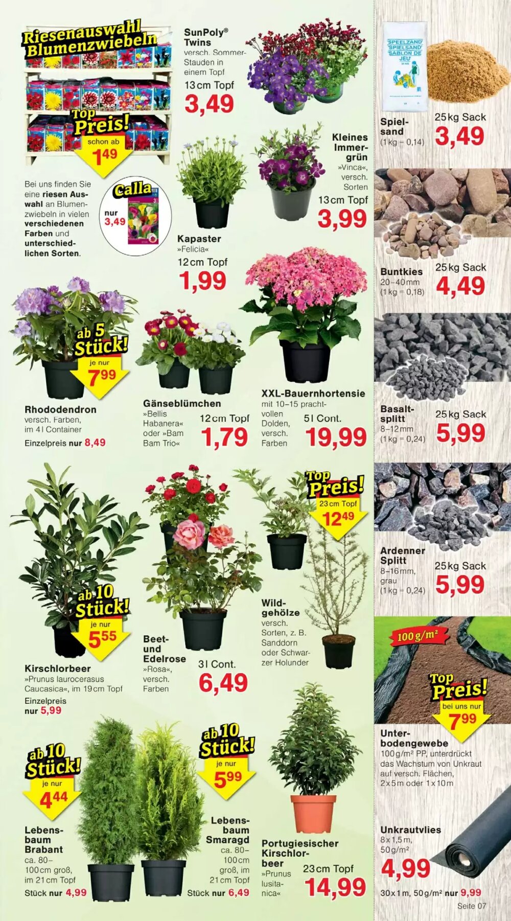 Wiglo Wunderland Prospekt (ab 23.03.2026) zum Blättern - Seite 11