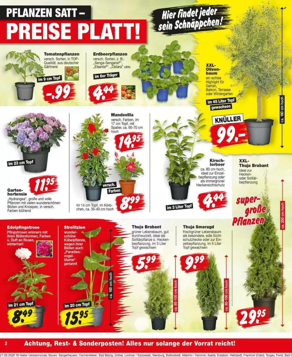 Repo Markt Prospekt (ab 23.03.2026) zum Blättern - Seite 2