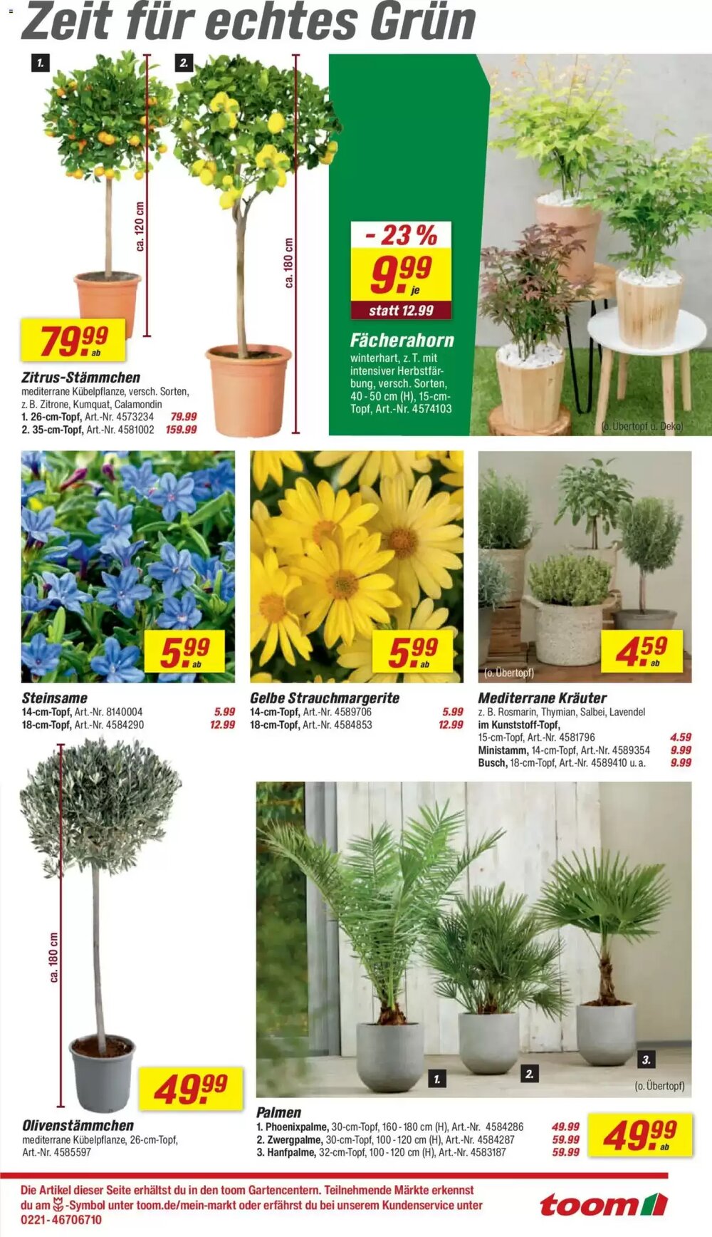 toom Baumarkt Prospekt (ab 28.03.2026) zum Blättern - Seite 3