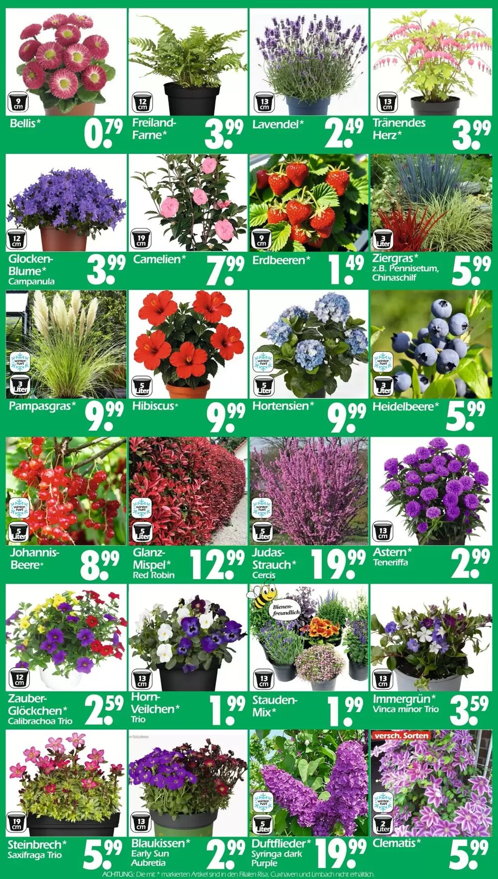 Wreesmann Prospekt (ab 30.03.2026) zum Blättern - Seite 3