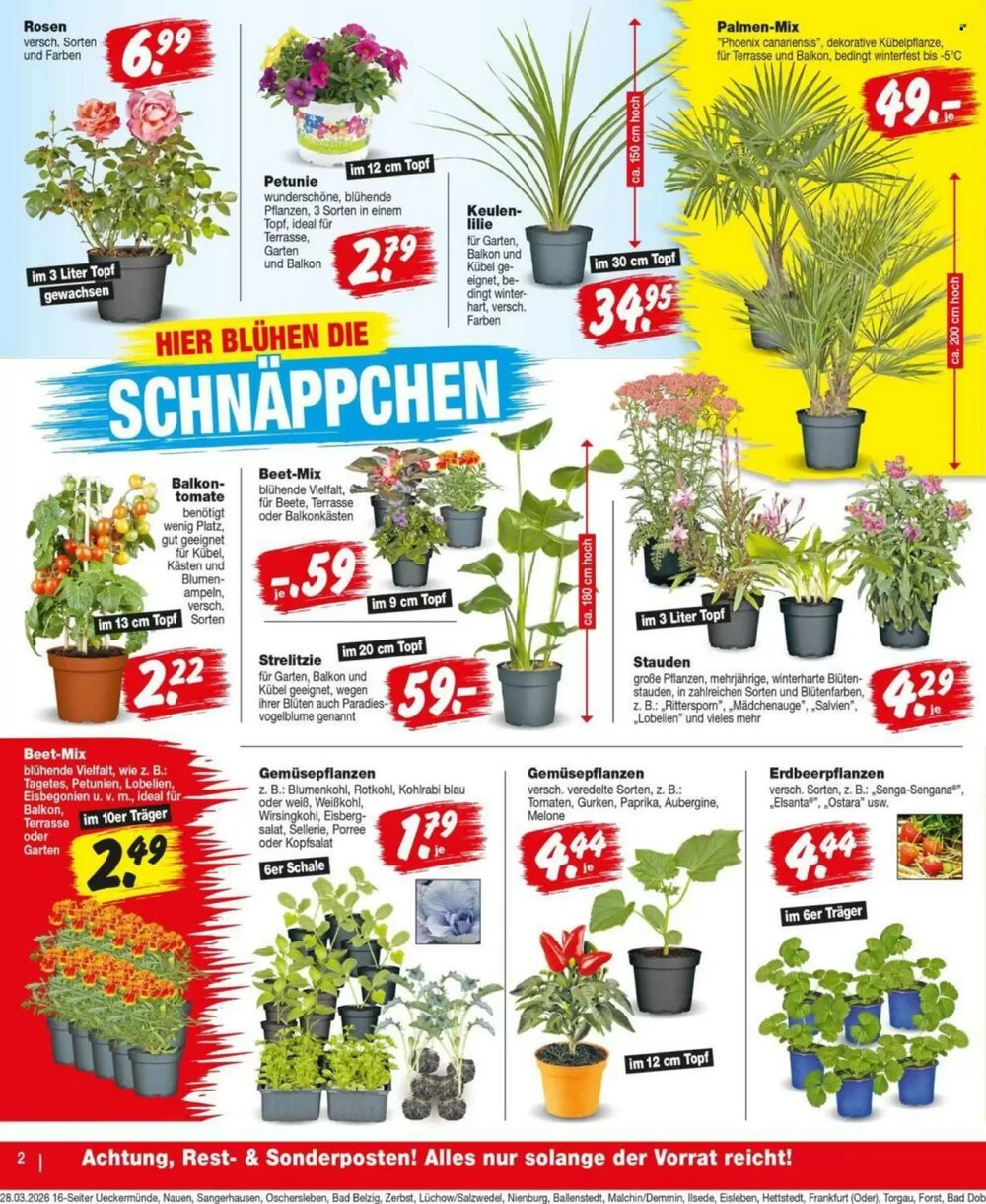 Repo Markt Prospekt (ab 30.03.2026) zum Blättern - Seite 2