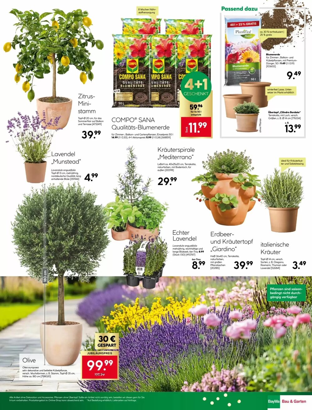 BayWa Prospekt (ab 30.03.2026) zum Blättern - Seite 29