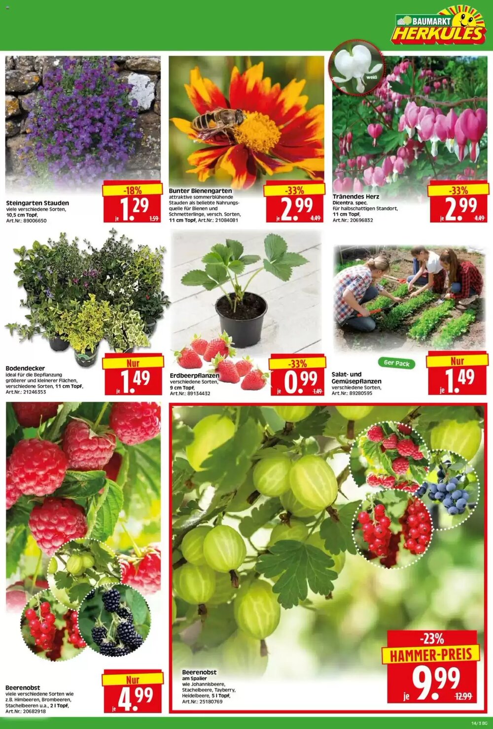 Edeka Herkules Prospekt (ab 30.03.2026) zum Blättern - Seite 3