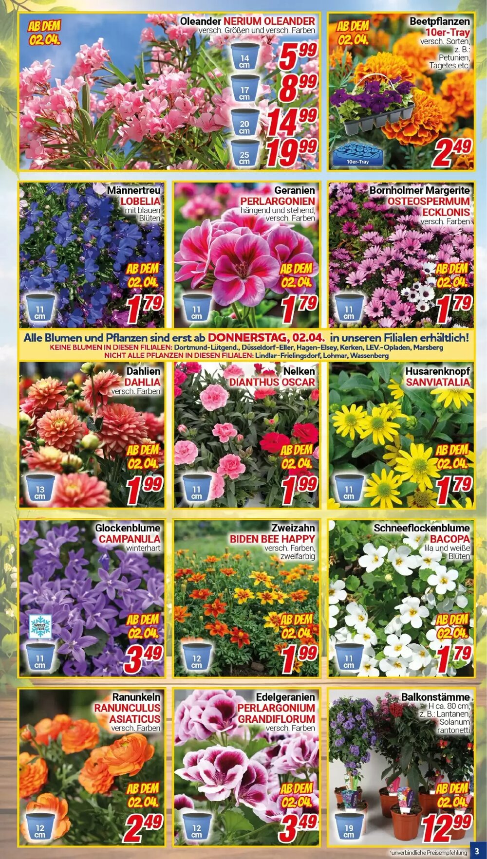 CENTERSHOP Prospekt (ab 30.03.2026) zum Blättern - Seite 3