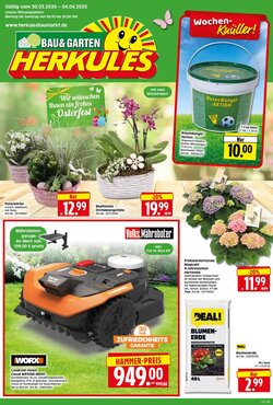 Herkules Baumarkt Prospekt (ab 30.03.2026) zum Blättern