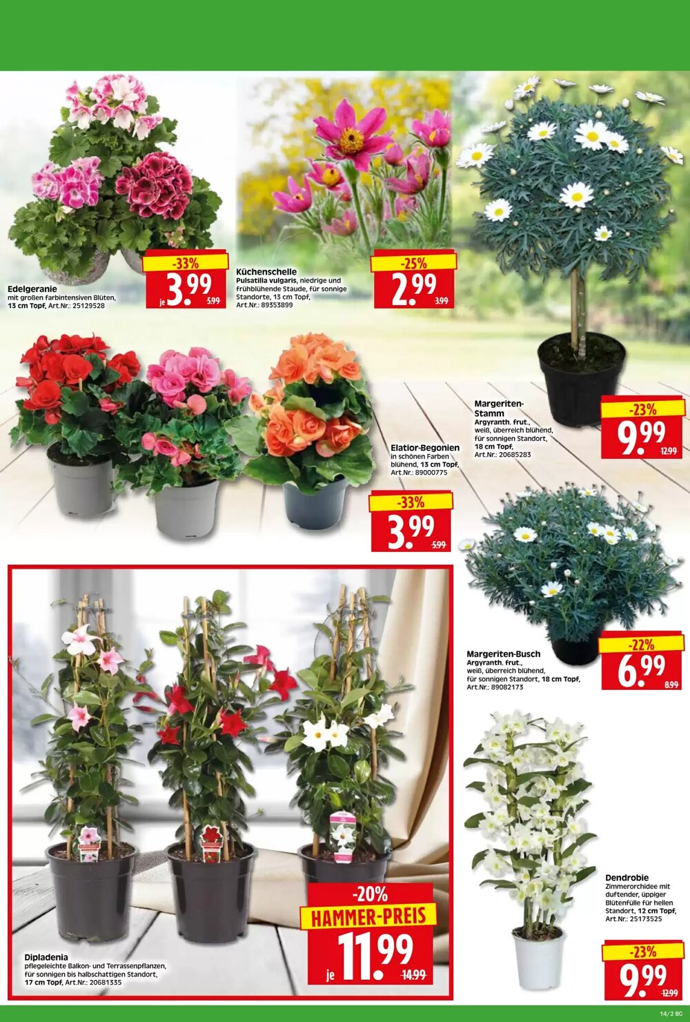 Herkules Baumarkt Prospekt (ab 30.03.2026) zum Blättern - Seite 2