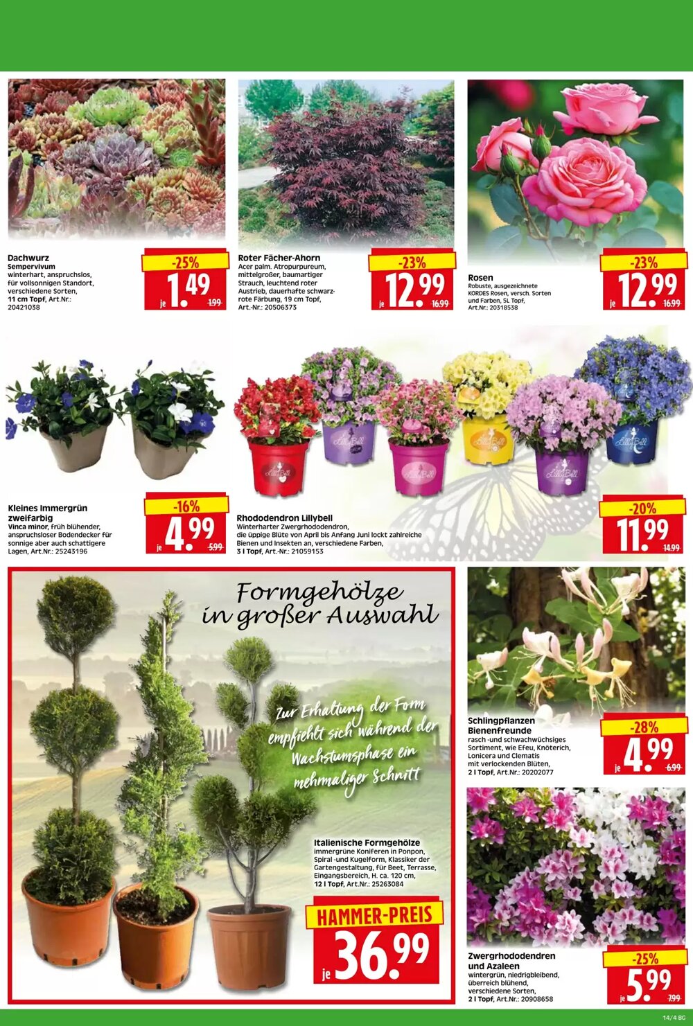 Herkules Baumarkt Prospekt (ab 30.03.2026) zum Blättern - Seite 4