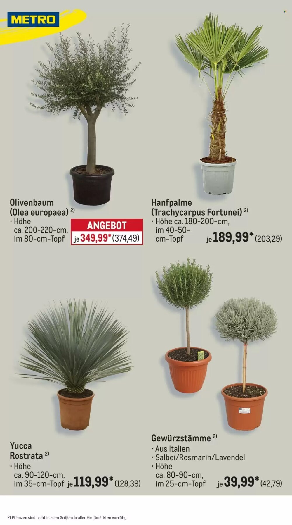 METRO Prospekt (ab 01.04.2026) zum Blättern - Seite 39