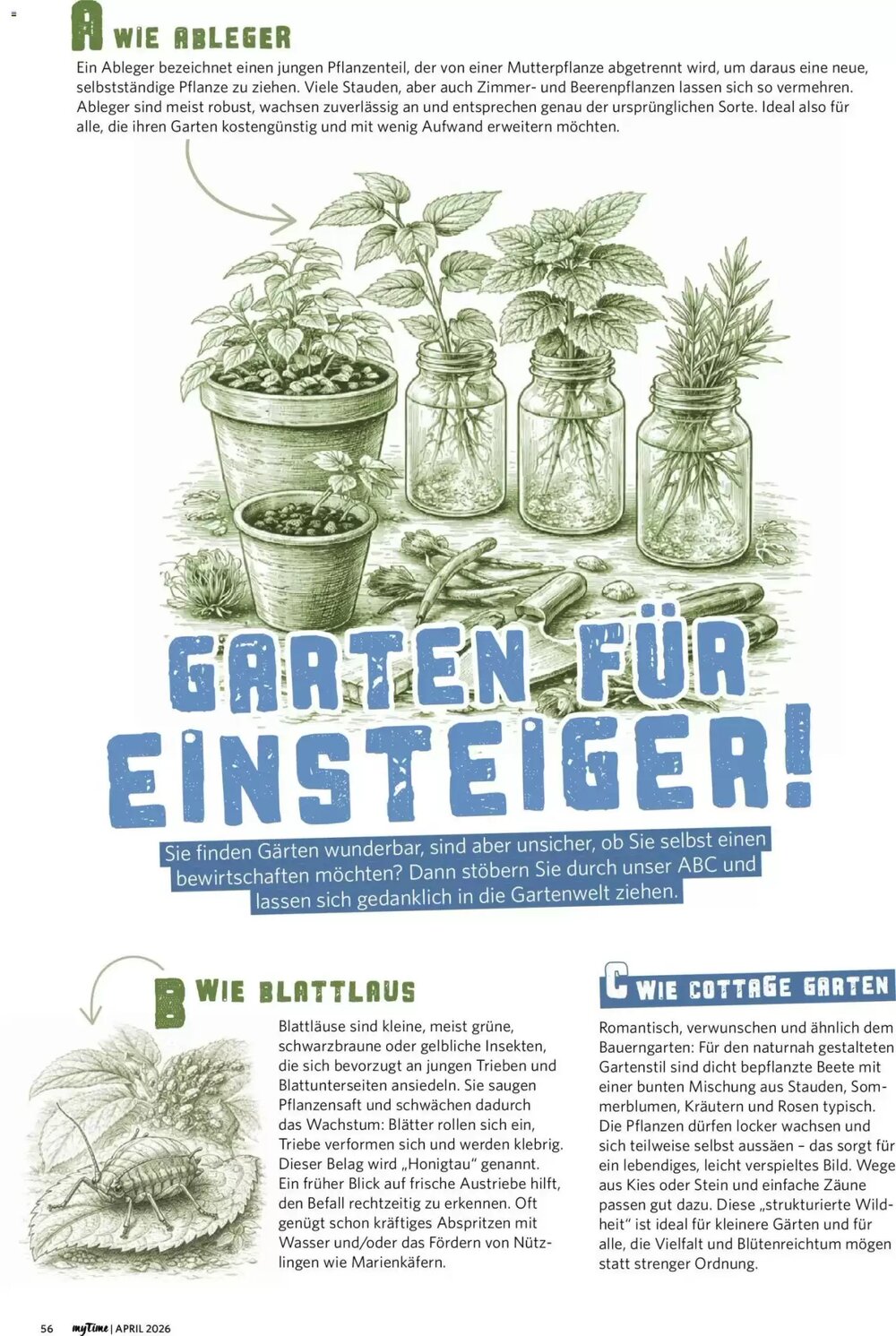 Combi Prospekt (ab 01.04.2026) zum Blättern - Seite 56