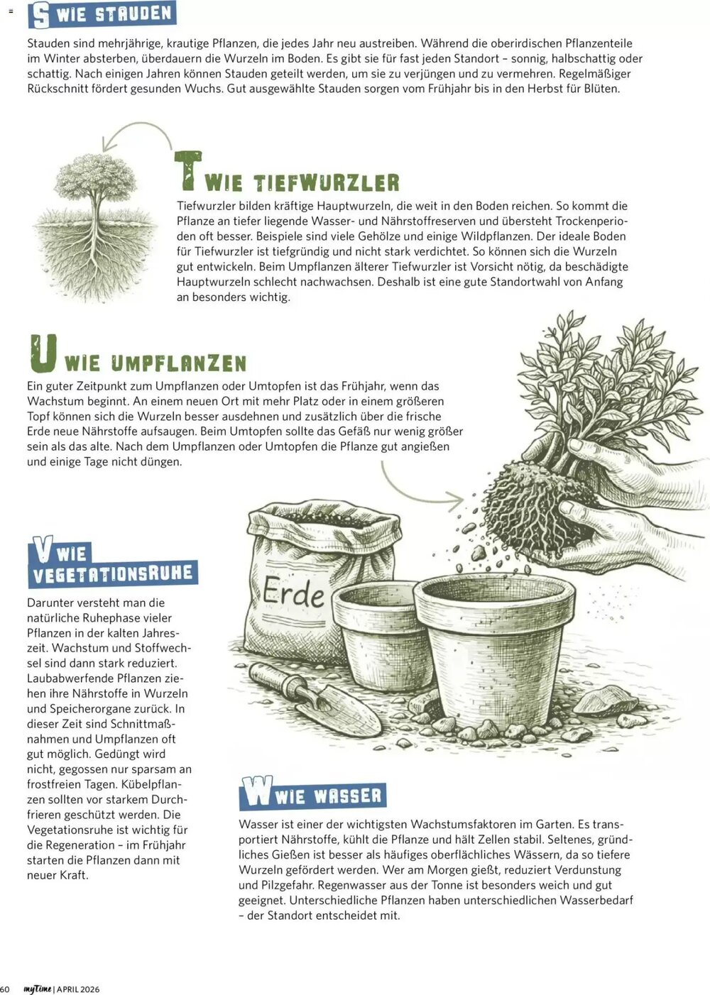 Combi Prospekt (ab 01.04.2026) zum Blättern - Seite 60