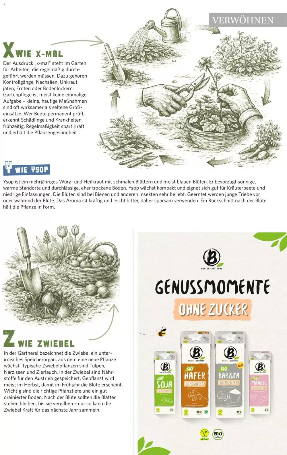 Combi Prospekt (ab 01.04.2026) zum Blättern - Seite 61