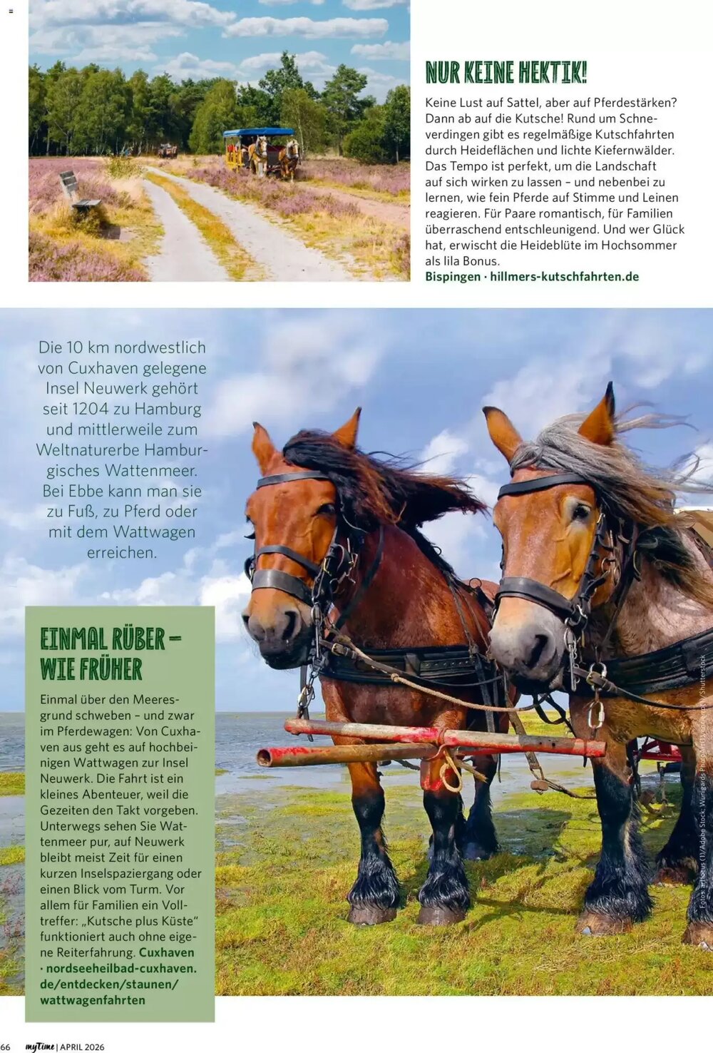 Combi Prospekt (ab 01.04.2026) zum Blättern - Seite 66