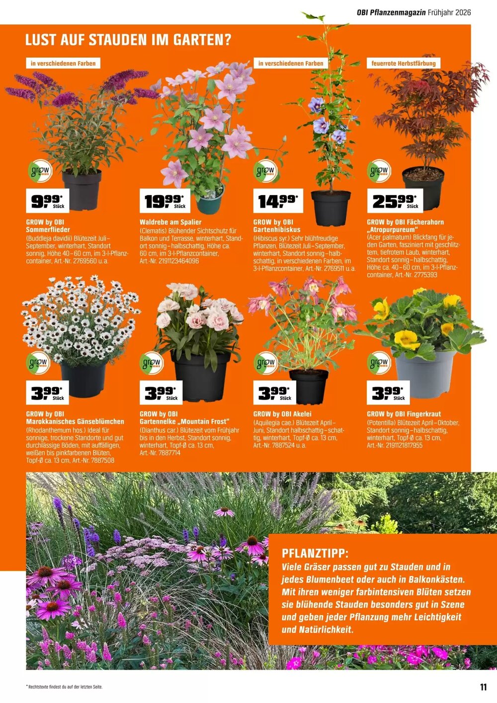 OBI Prospekt (ab 01.04.2026) zum Blättern - Seite 11