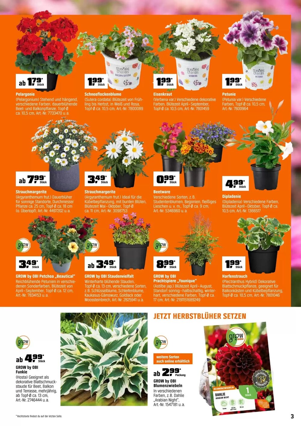 OBI Prospekt (ab 01.04.2026) zum Blättern - Seite 3
