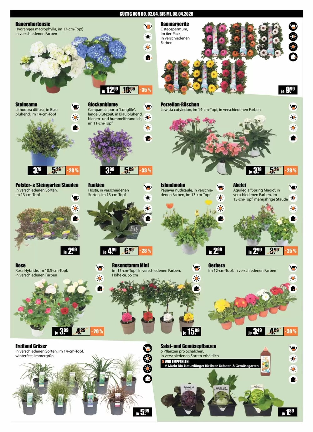 V Baumarkt Prospekt (ab 02.04.2026) zum Blättern - Seite 2