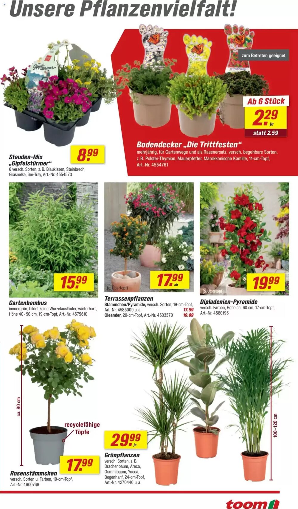 toom Baumarkt Prospekt (ab 04.04.2026) zum Blättern - Seite 9