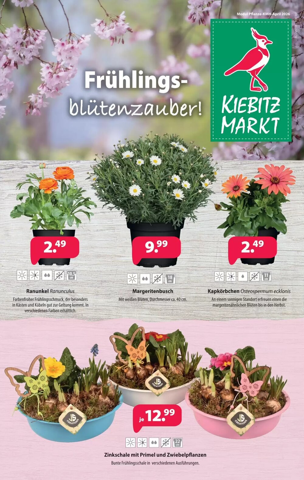 Kiebitzmarkt Prospekt (ab 04.04.2026) zum Blättern - Seite 5