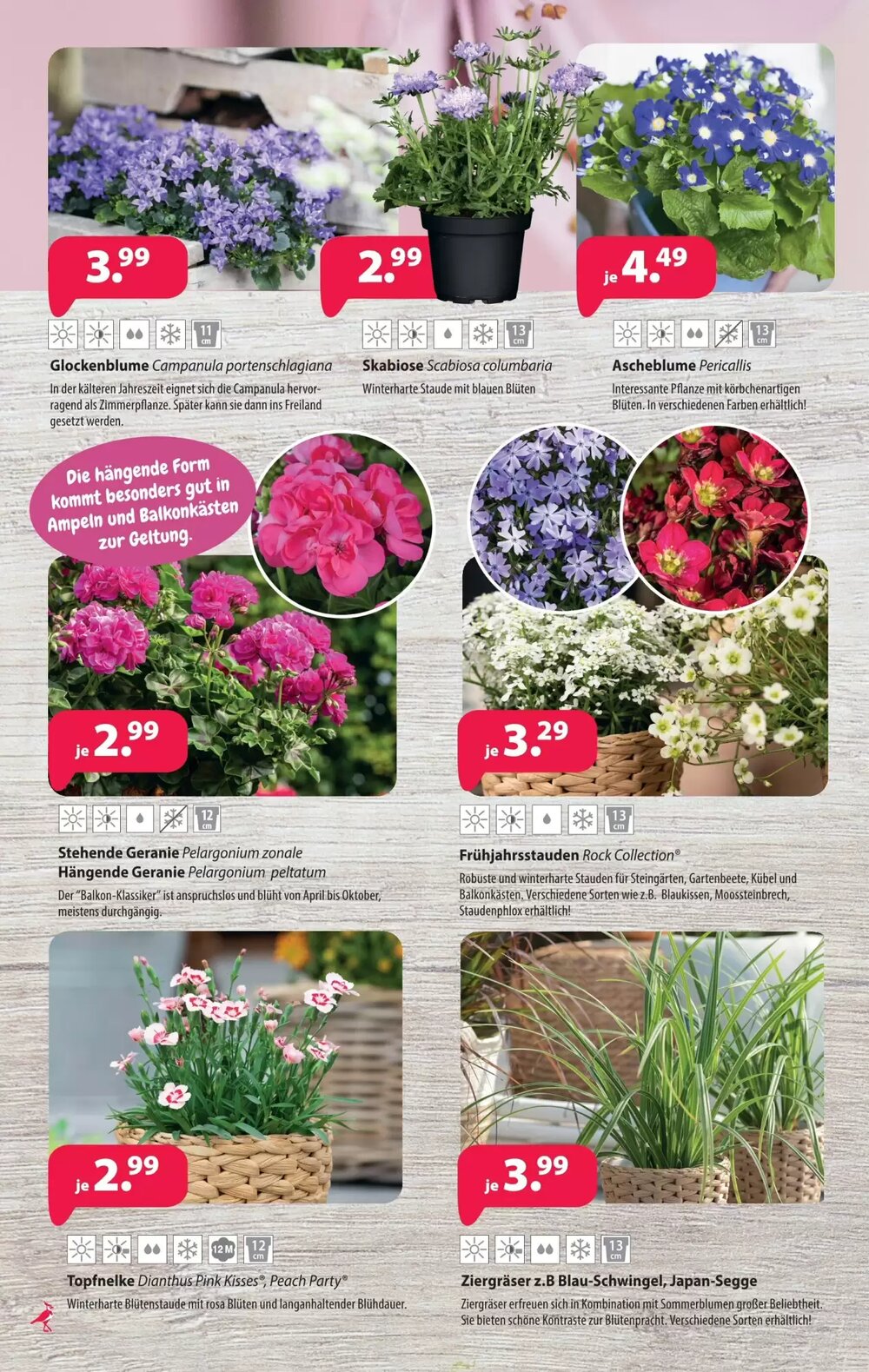 Kiebitzmarkt Prospekt (ab 04.04.2026) zum Blättern - Seite 6