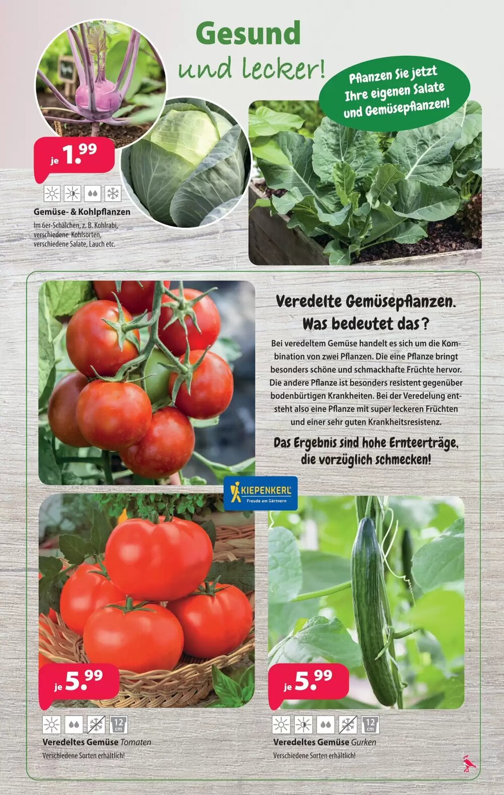 Kiebitzmarkt Prospekt (ab 04.04.2026) zum Blättern - Seite 7