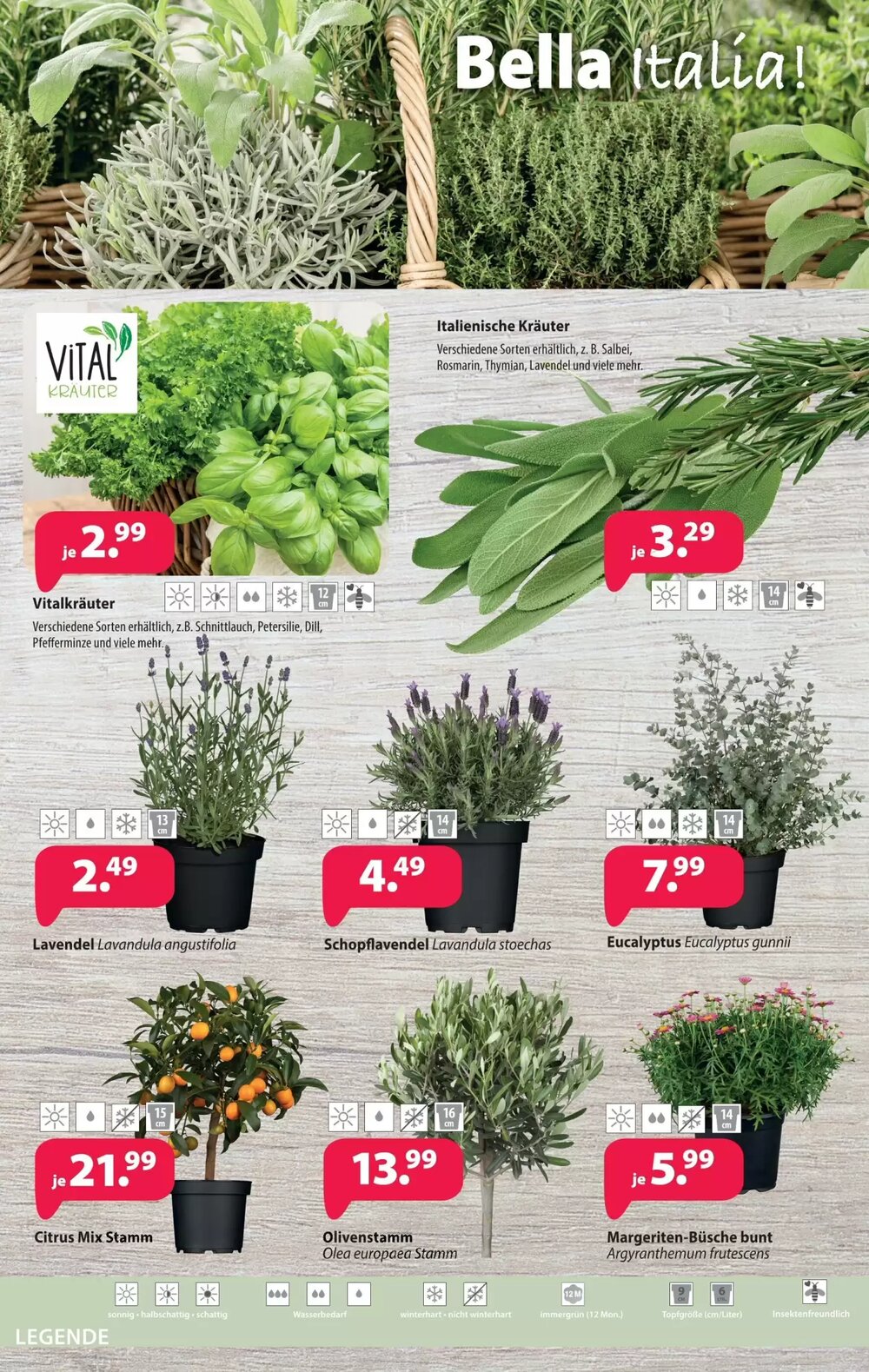 Kiebitzmarkt Prospekt (ab 04.04.2026) zum Blättern - Seite 8