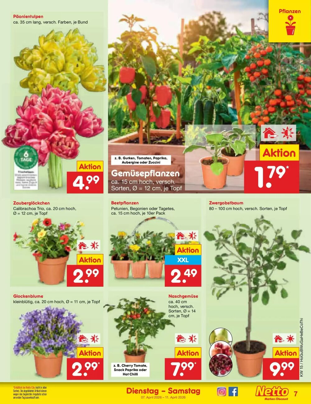 Netto Marken-Discount Prospekt (ab 05.04.2026) zum Blättern - Seite 9
