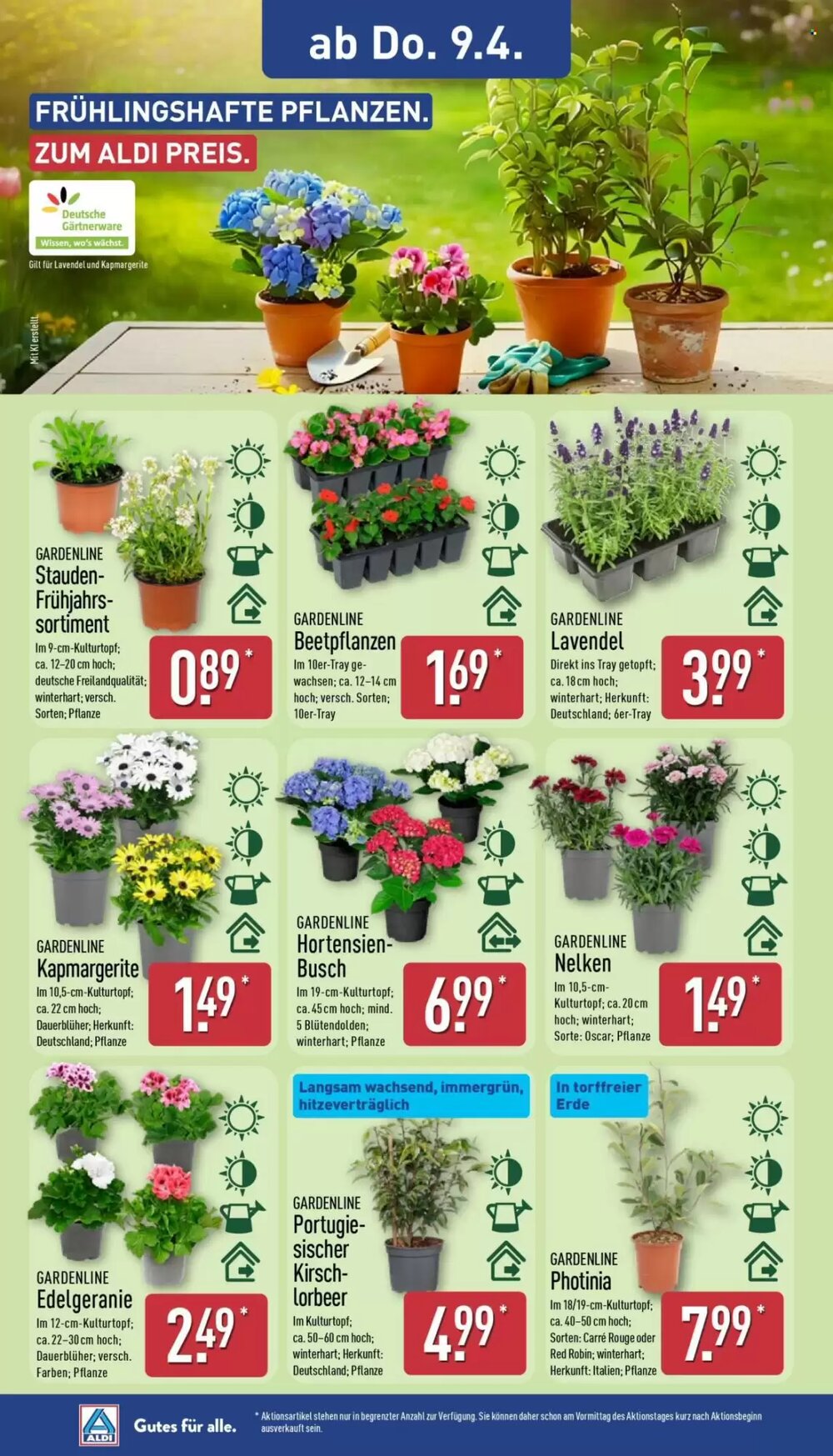 Aldi Nord Prospekt (ab 07.04.2026) zum Blättern - Seite 14