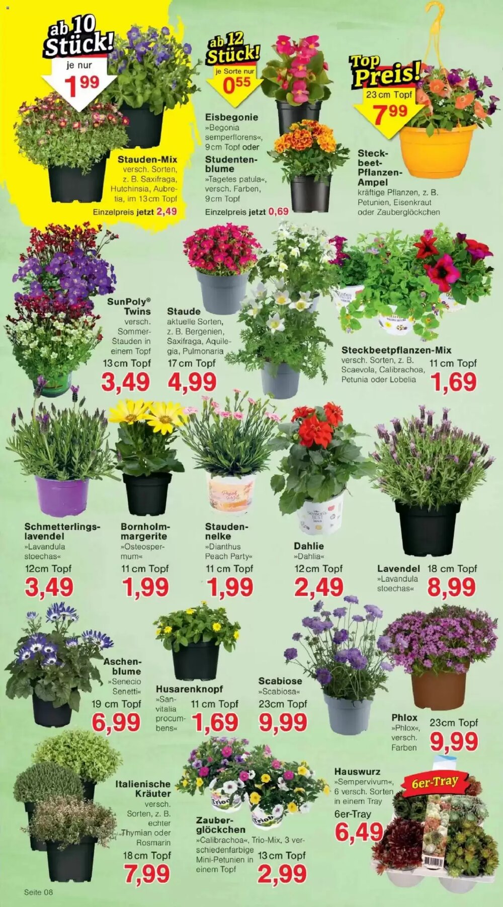 Jawoll Prospekt (ab 07.04.2026) zum Blättern - Seite 12