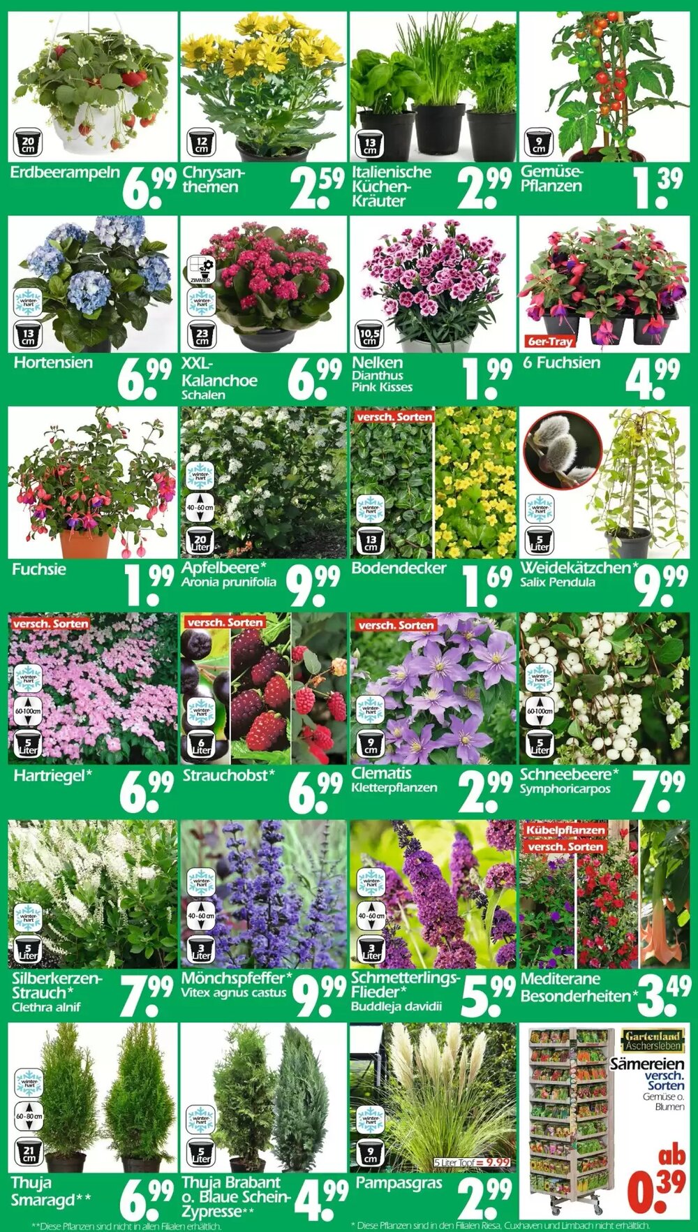 Wreesmann Prospekt (ab 07.04.2026) zum Blättern - Seite 3