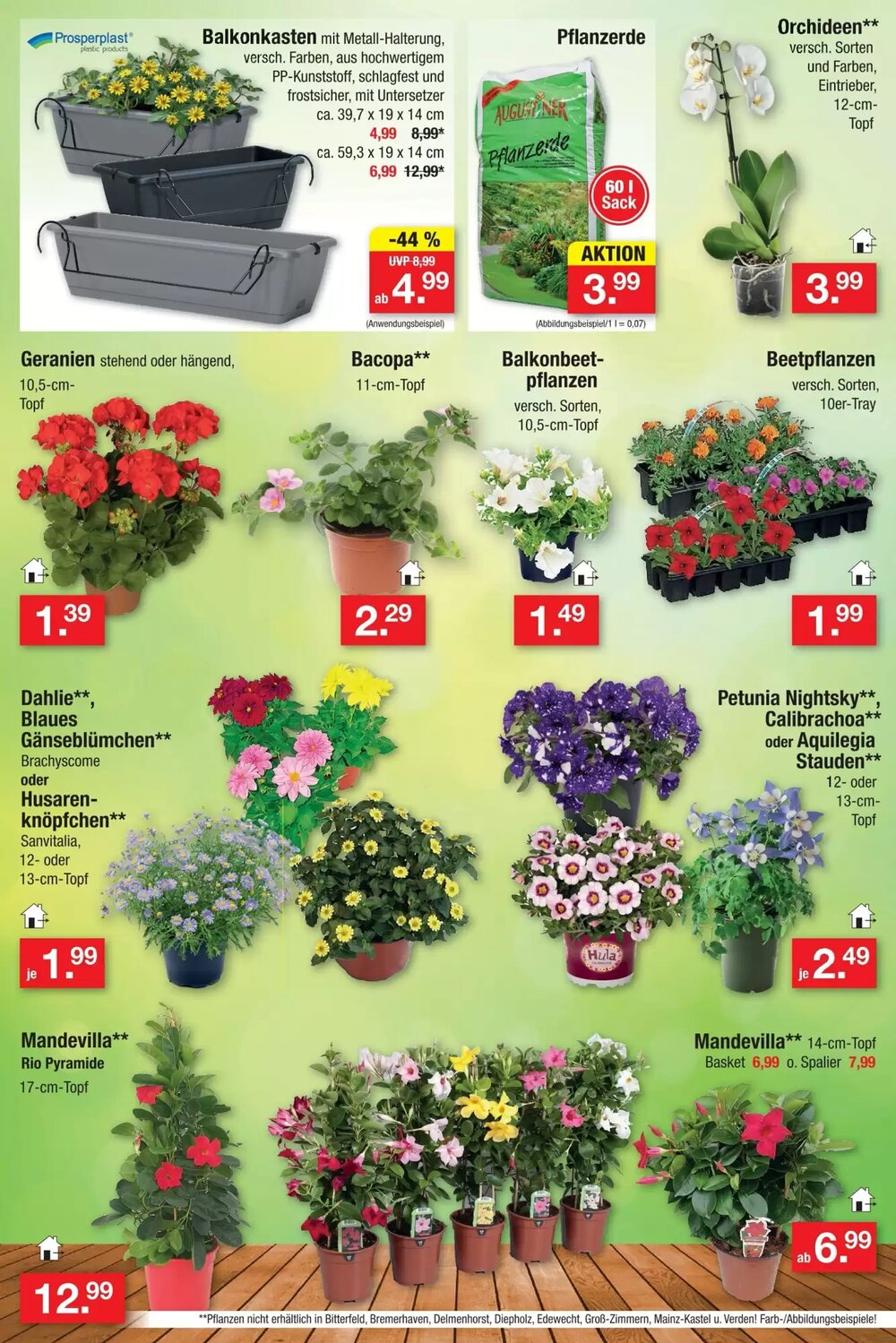 Zimmermann Prospekt (ab 07.04.2026) zum Blättern - Seite 13