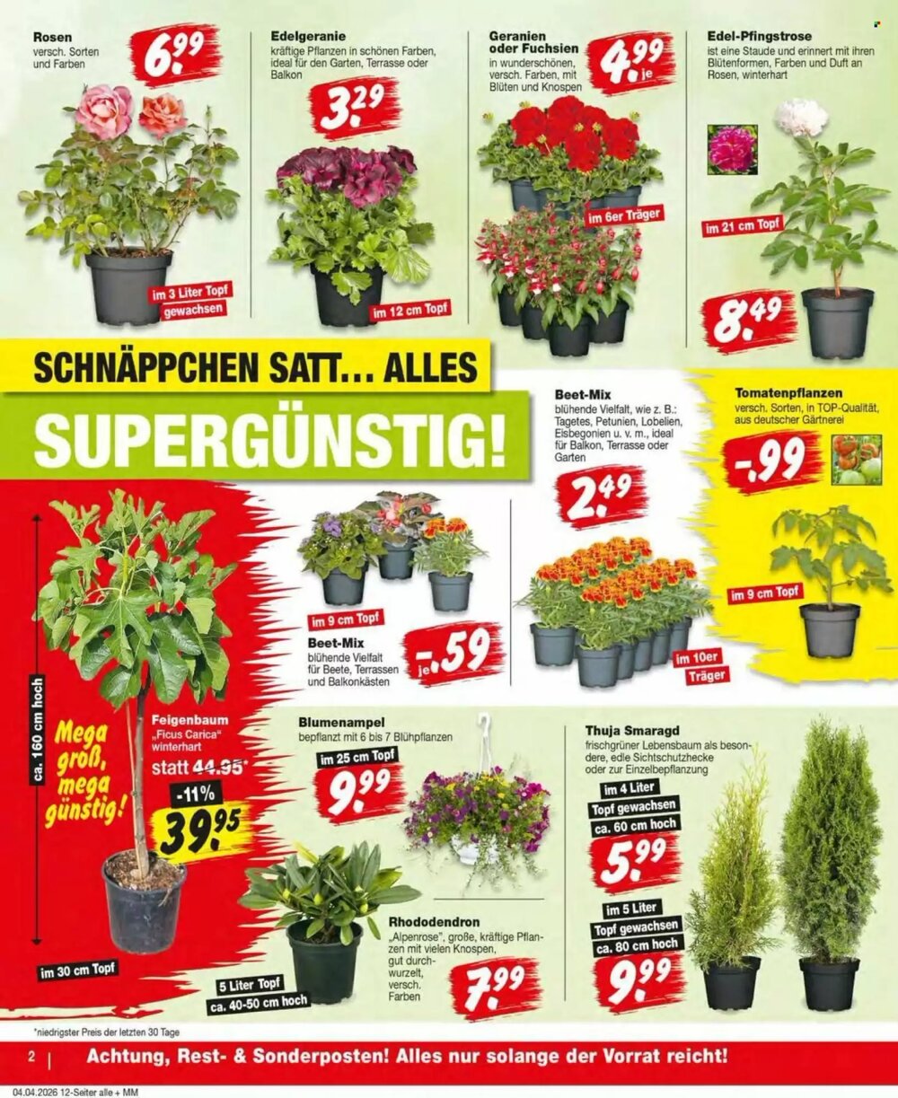 Repo Markt Prospekt (ab 07.04.2026) zum Blättern - Seite 2