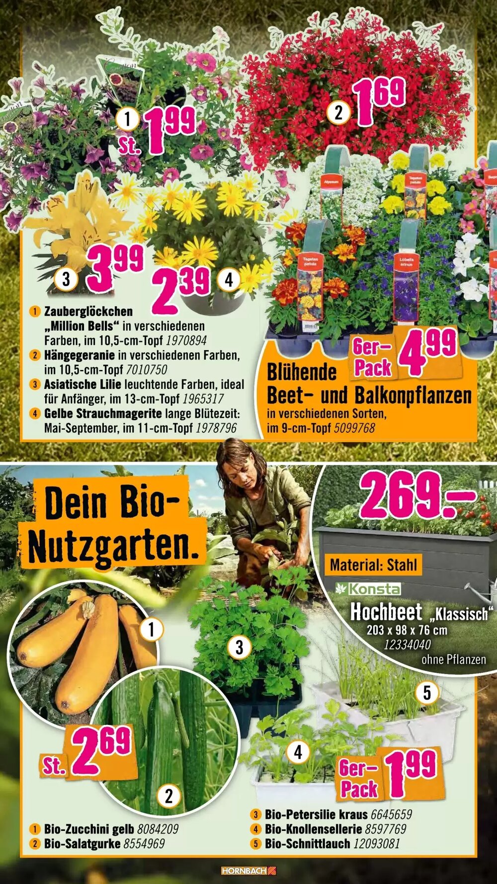 Hornbach Prospekt (ab 08.04.2026) zum Blättern - Seite 16