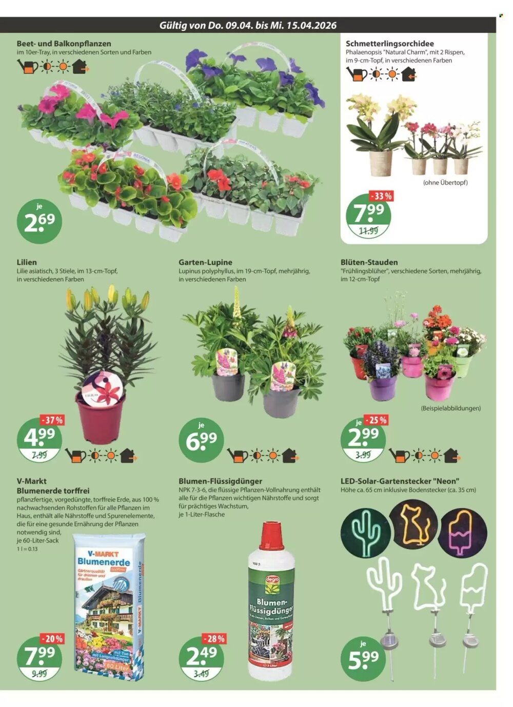 V Markt Prospekt (ab 09.04.2026) zum Blättern - Seite 21