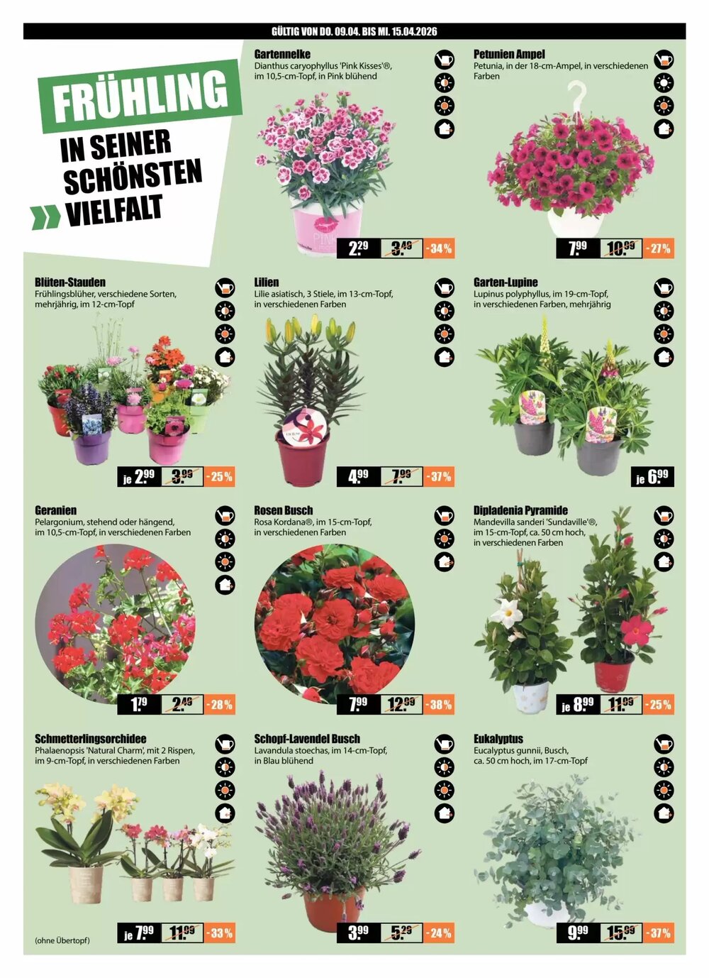 V Baumarkt Prospekt (ab 09.04.2026) zum Blättern - Seite 2