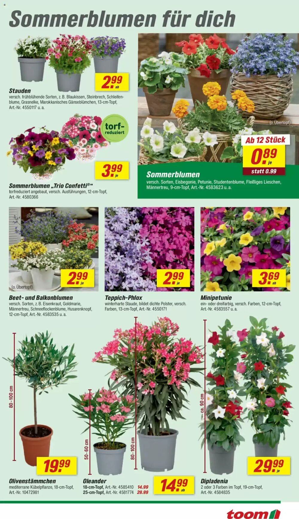 toom Baumarkt Prospekt (ab 11.04.2026) zum Blättern - Seite 5