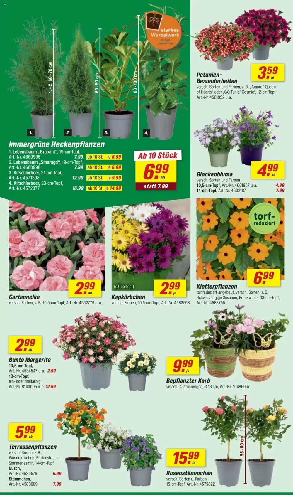 toom Baumarkt Prospekt (ab 11.04.2026) zum Blättern - Seite 6