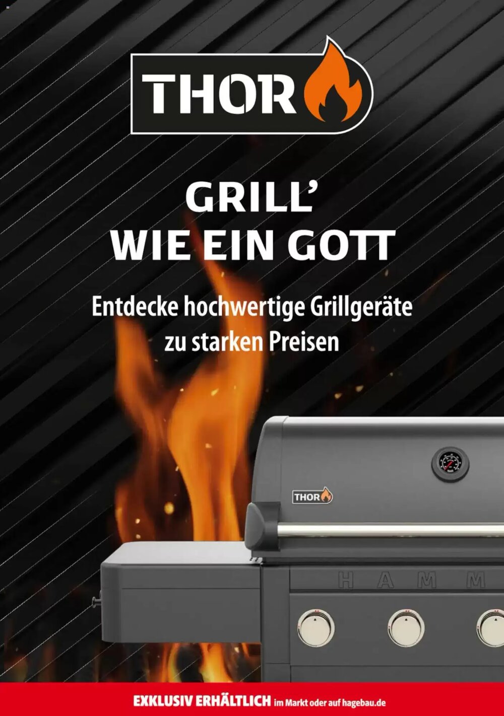 Hagebau Prospekt (ab 11.04.2026) zum Blättern - Seite 17