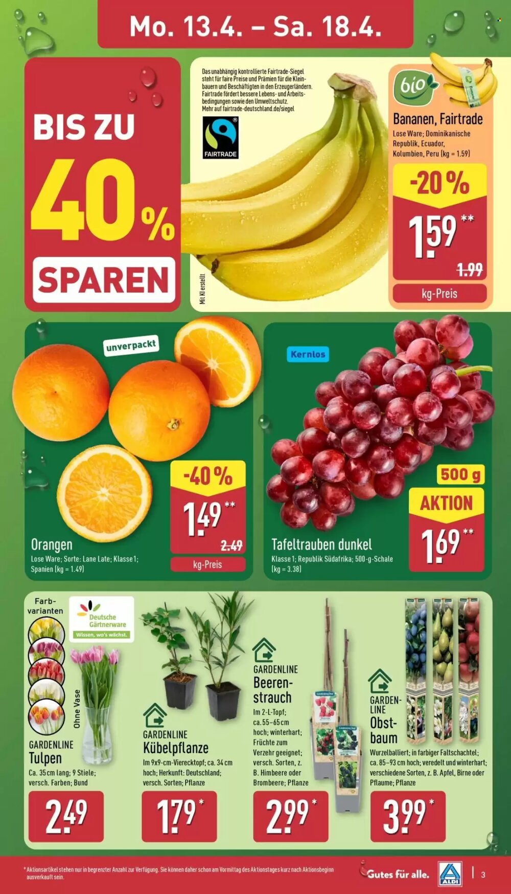Aldi Nord Prospekt (ab 13.04.2026) zum Blättern - Seite 7