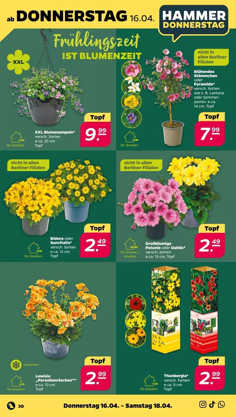 NETTO Prospekt (ab 13.04.2026) zum Blättern - Seite 34