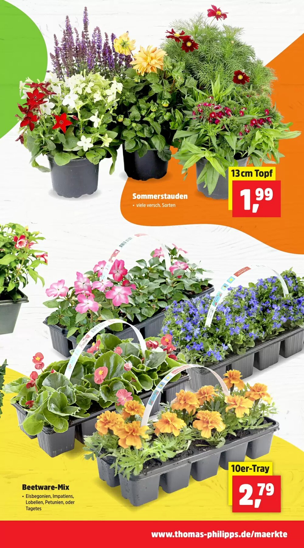 Thomas Philipps Prospekt (ab 13.04.2026) zum Blättern - Seite 7