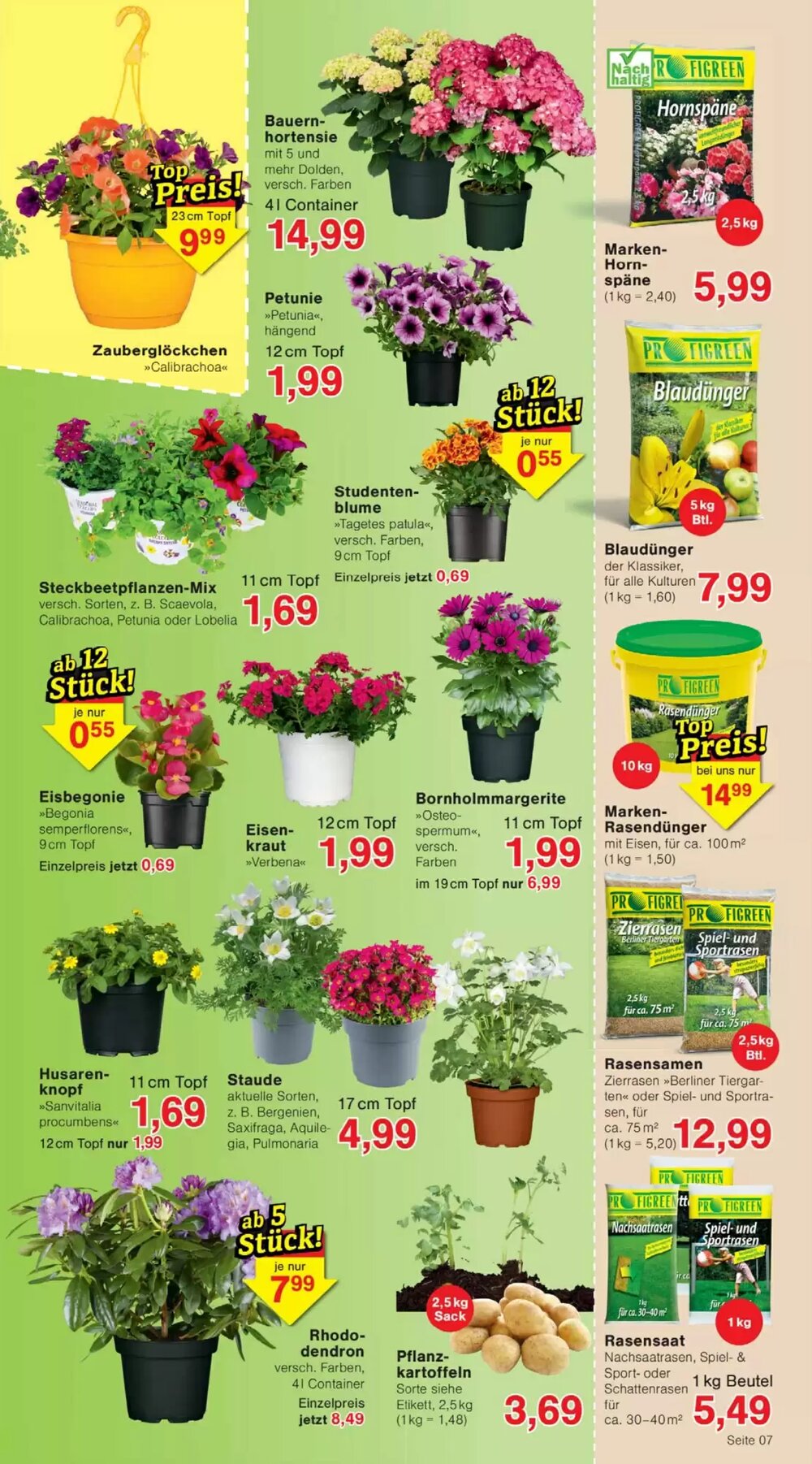 Wiglo Wunderland Prospekt (ab 13.04.2026) zum Blättern - Seite 11