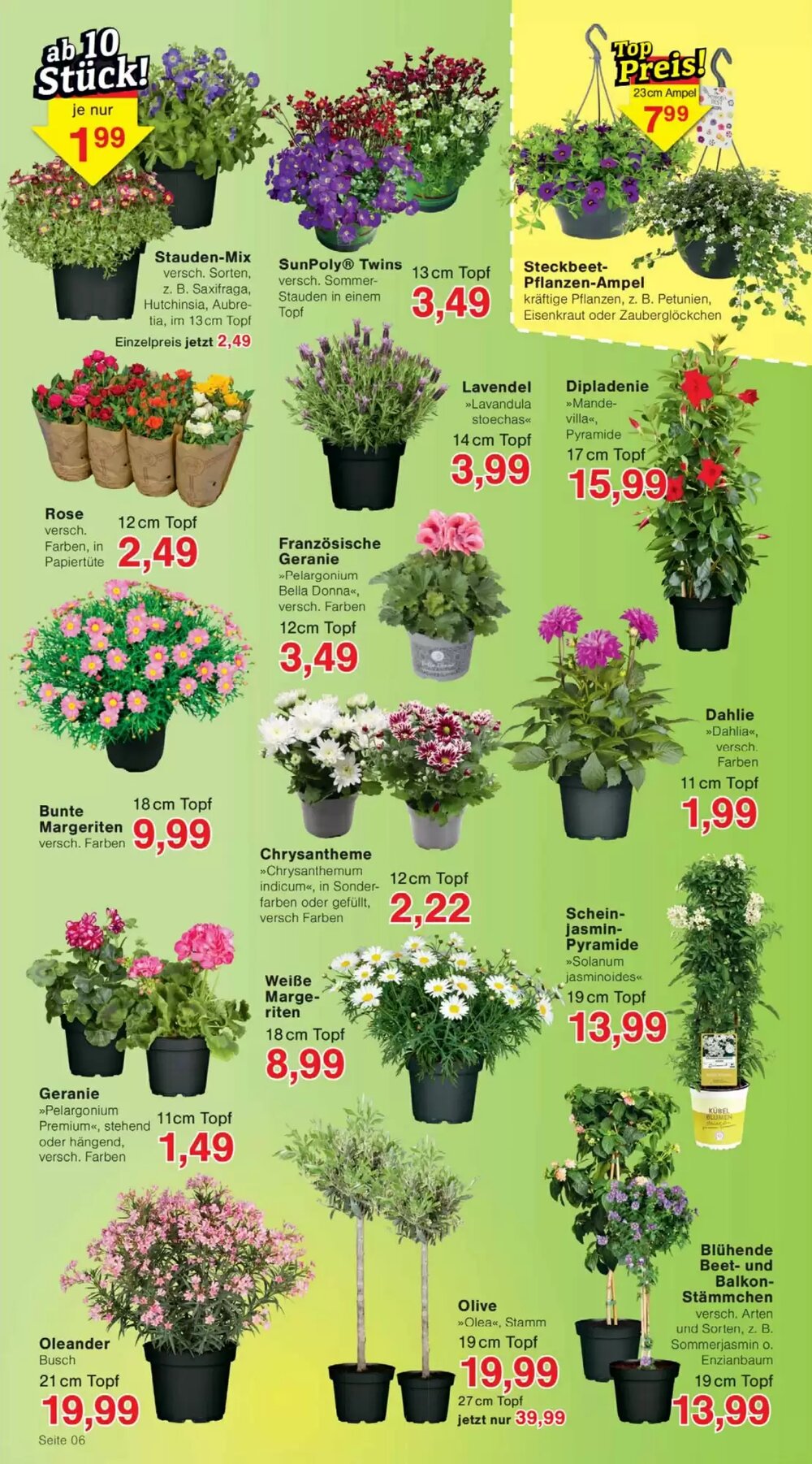 Wiglo Wunderland Prospekt (ab 13.04.2026) zum Blättern - Seite 6