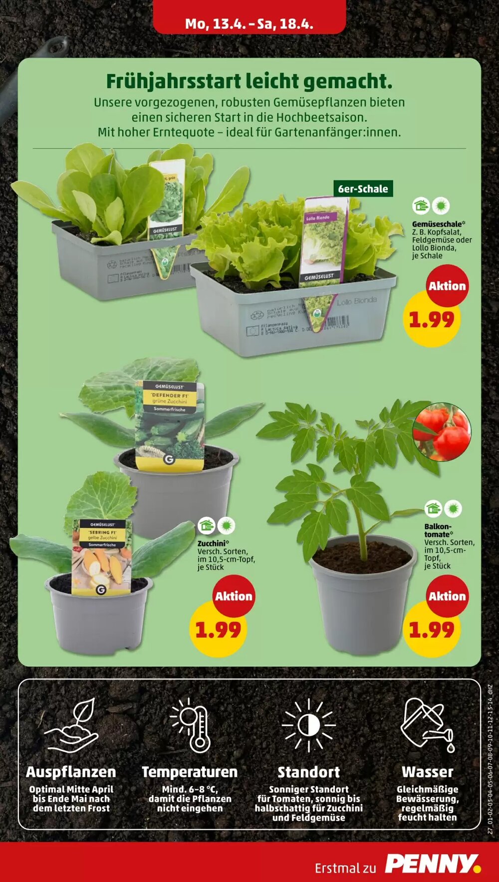PENNY Prospekt (ab 13.04.2026) zum Blättern - Seite 31