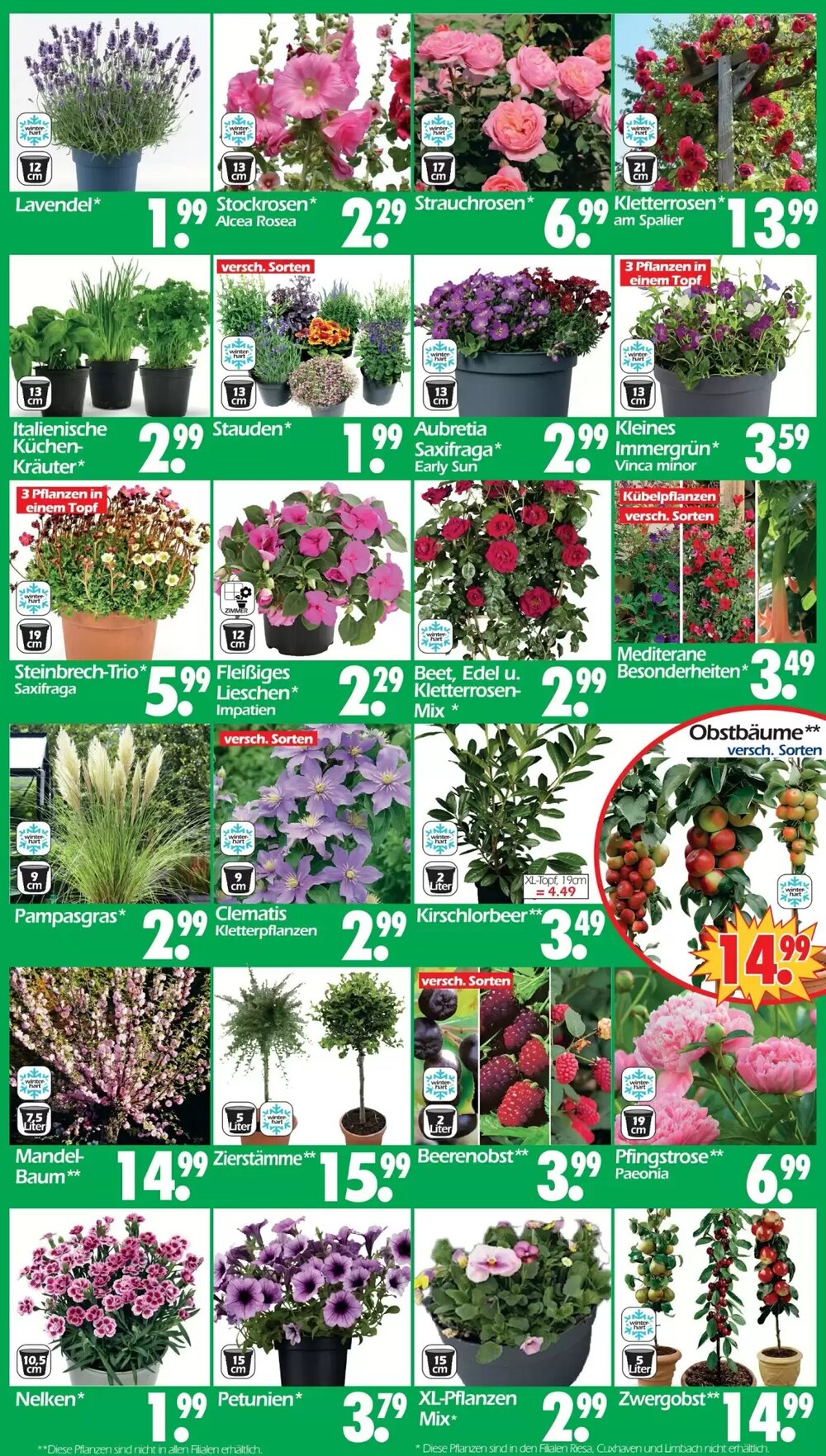 Wreesmann Prospekt (ab 13.04.2026) zum Blättern - Seite 3