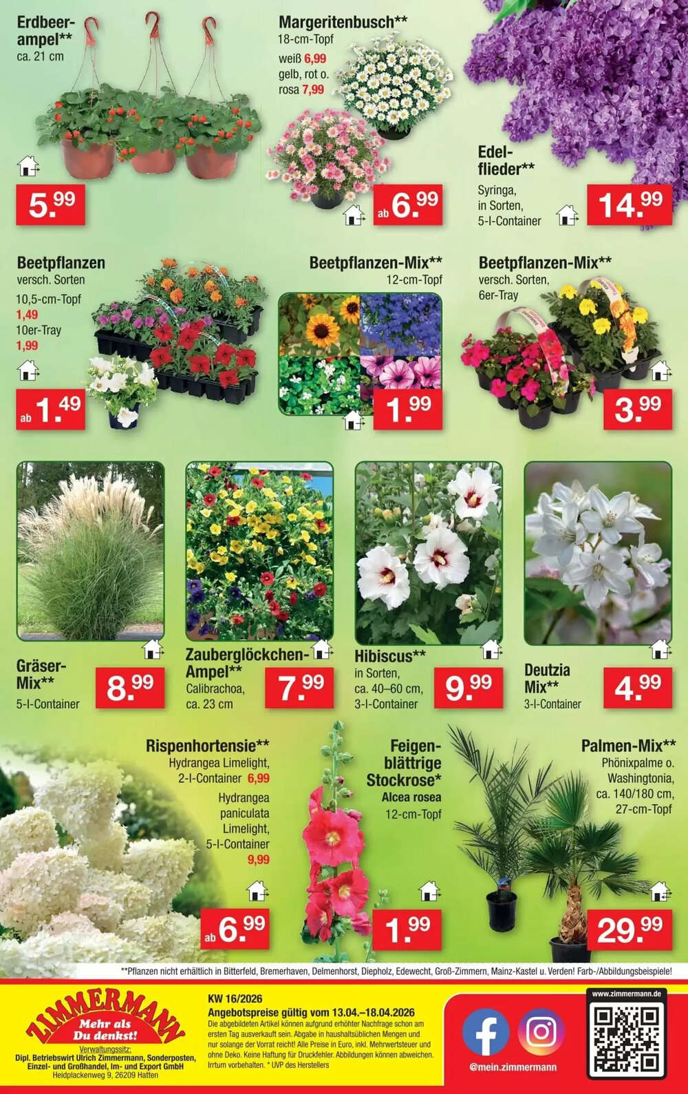 Zimmermann Prospekt (ab 13.04.2026) zum Blättern - Seite 10