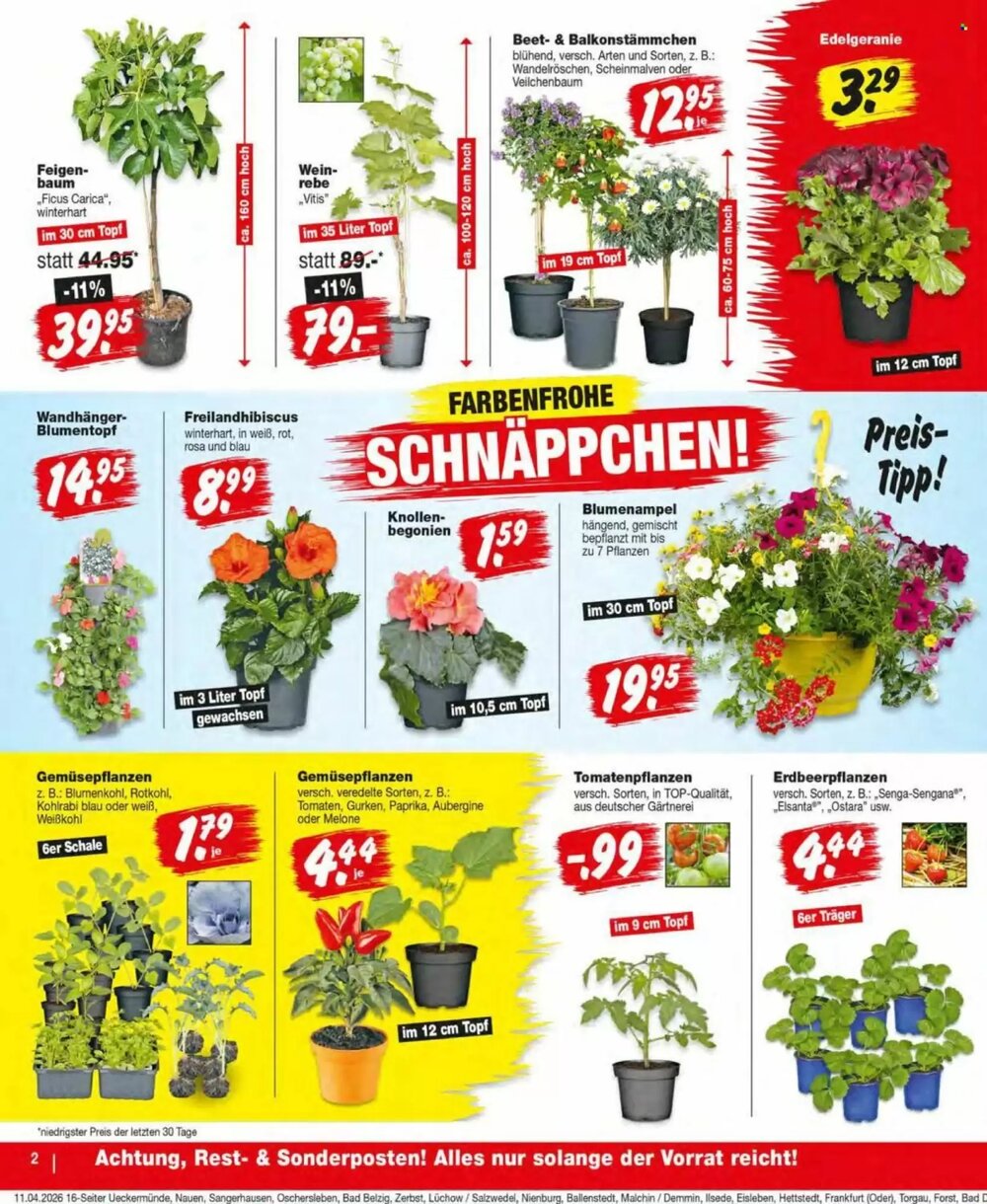 Repo Markt Prospekt (ab 13.04.2026) zum Blättern - Seite 2