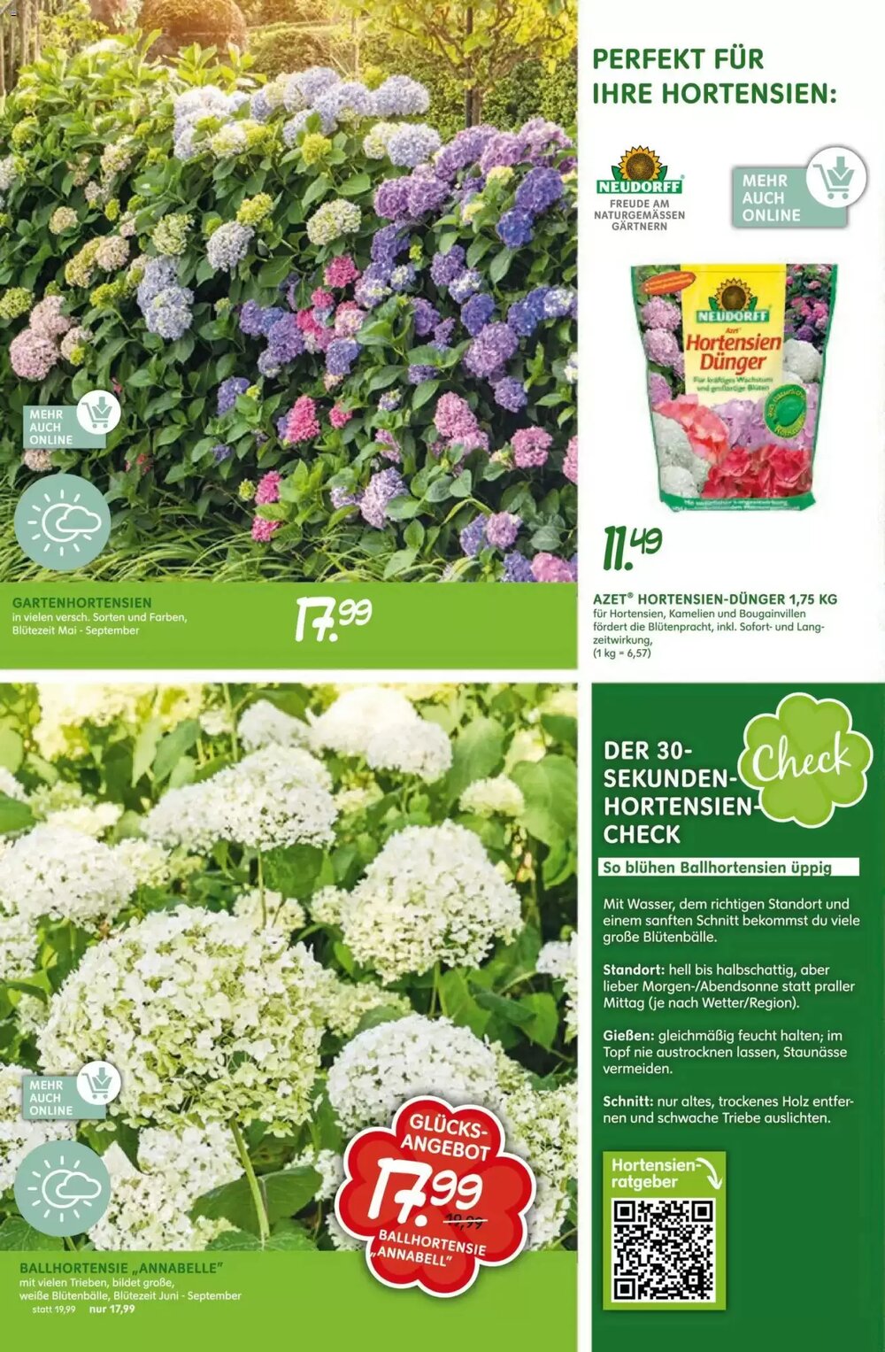 Blumen Risse Prospekt (ab 16.04.2026) zum Blättern - Seite 10